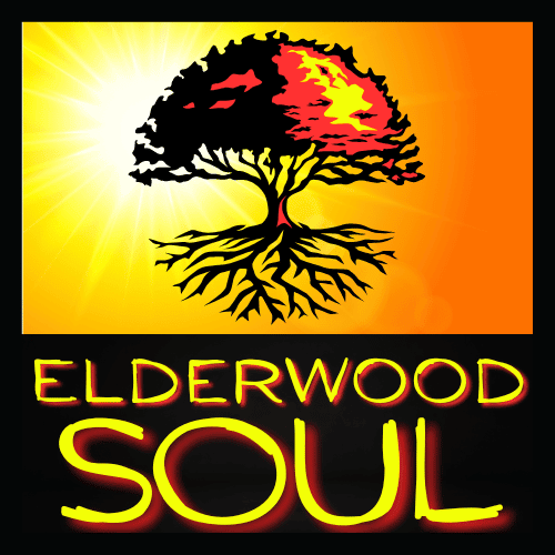 Alt text: "Stylized logo featuring a black tree with fiery red and yellow leaves against a bright sunburst. Bold text below reads 'Elderwood Soul' in yellow and red."