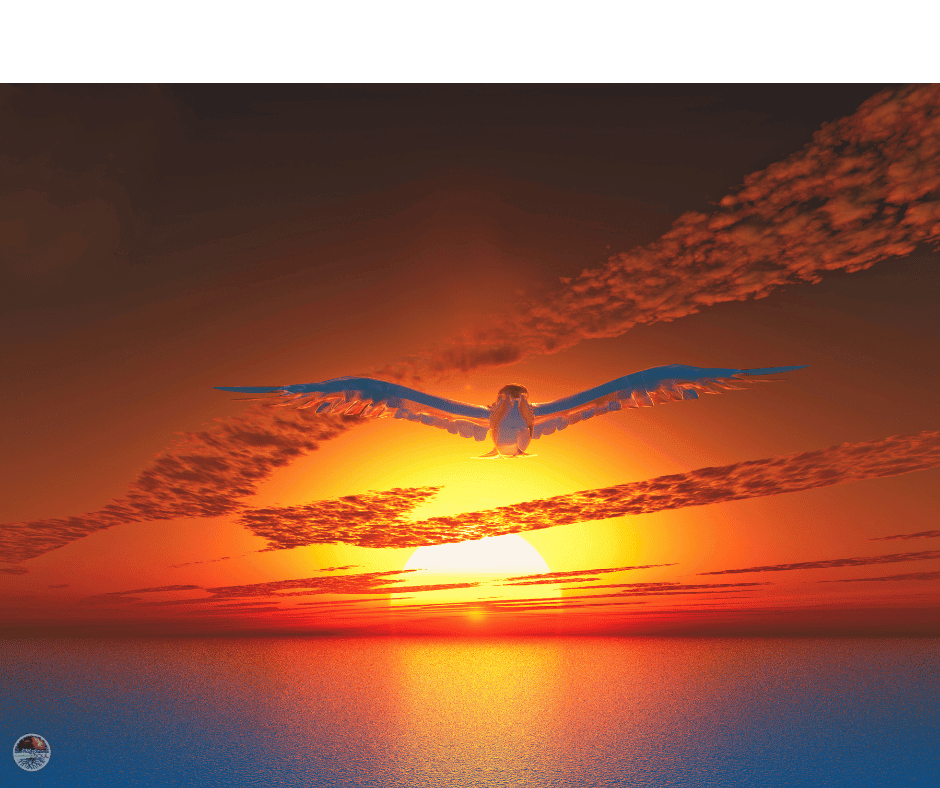 A bird flying against a colorful sunset with clouds.